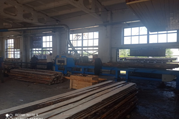 Wood processing plant in the Rivne region for sale